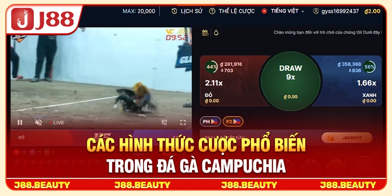 Đá Gà Campuchia: Bí Kíp Bắt Kèo Chuẩn Từng Hiệp, Ăn Thưởng Đậm 3 Các hình thức cược phổ biến trong đá gà Campuchia