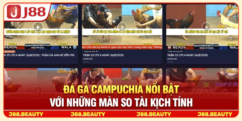 Đá Gà Campuchia: Bí Kíp Bắt Kèo Chuẩn Từng Hiệp, Ăn Thưởng Đậm 2 Đá gà Campuchia nổi bật với những màn so tài kịch tính