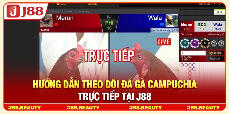 Đá Gà Campuchia: Bí Kíp Bắt Kèo Chuẩn Từng Hiệp, Ăn Thưởng Đậm 4 Hướng dẫn theo dõi đá gà Campuchia trực tiếp tại J88